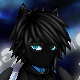 Night Fury's Avatar